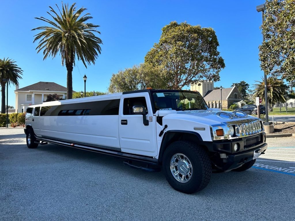 Famous City Limousine gallery photo 17
