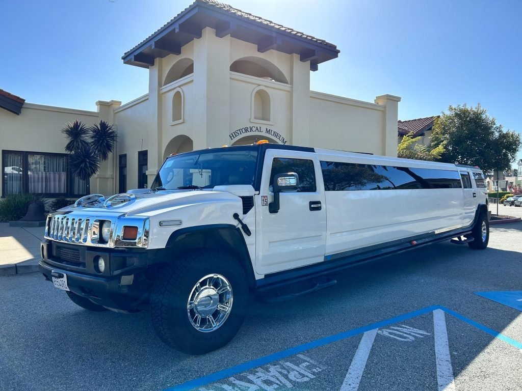 Famous City Limousine gallery photo 22