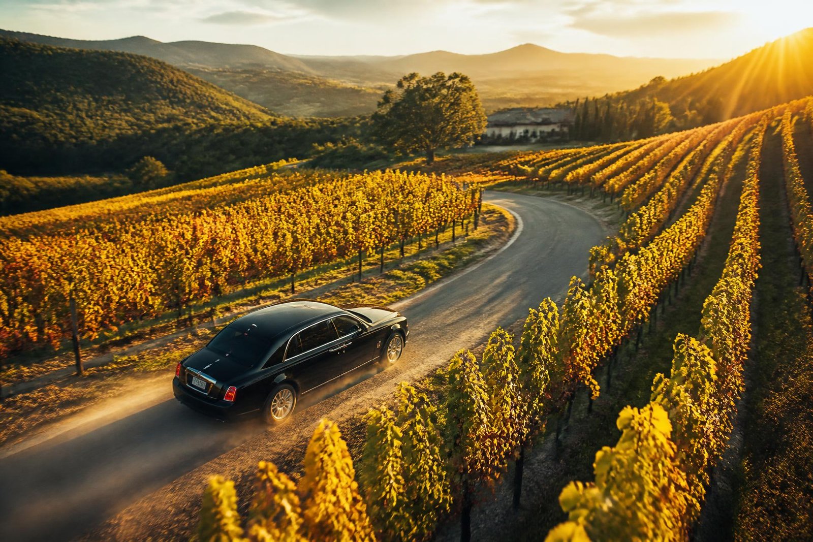 Limousine driving through Napa Valley vineyards